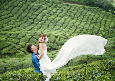5N6D Tour Package 01N Cochin 02N Munnar 01 Thekkady 01 Alleppey